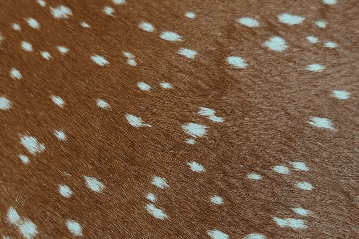 Pony Hair Explained: Caring for your Hair-On Cowhide Bag - Seyclair