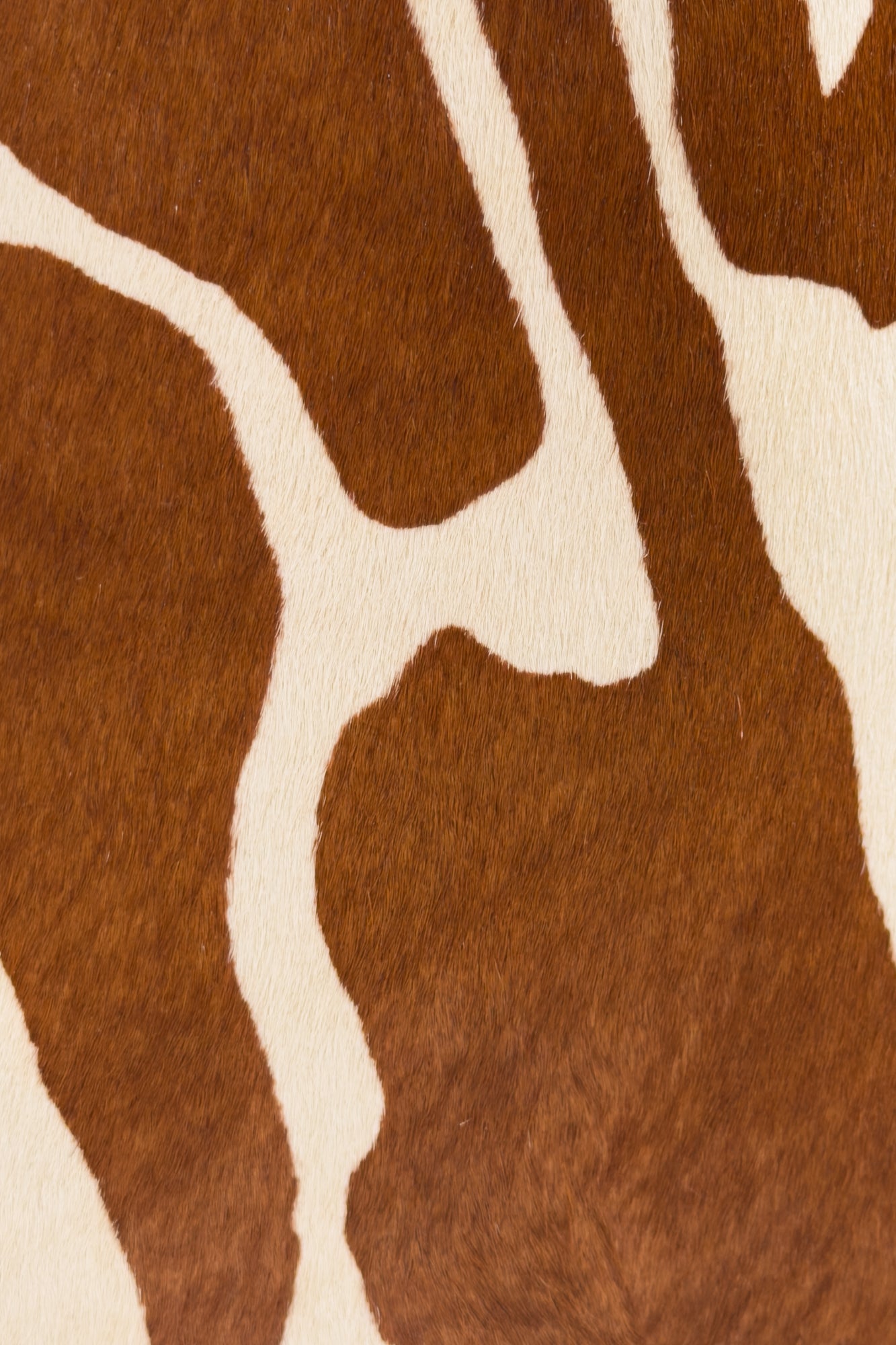 Limited Edition: Natasha Shoulder Tote Bag in Chestnut Zebra (Pre-Order) - Seyclair